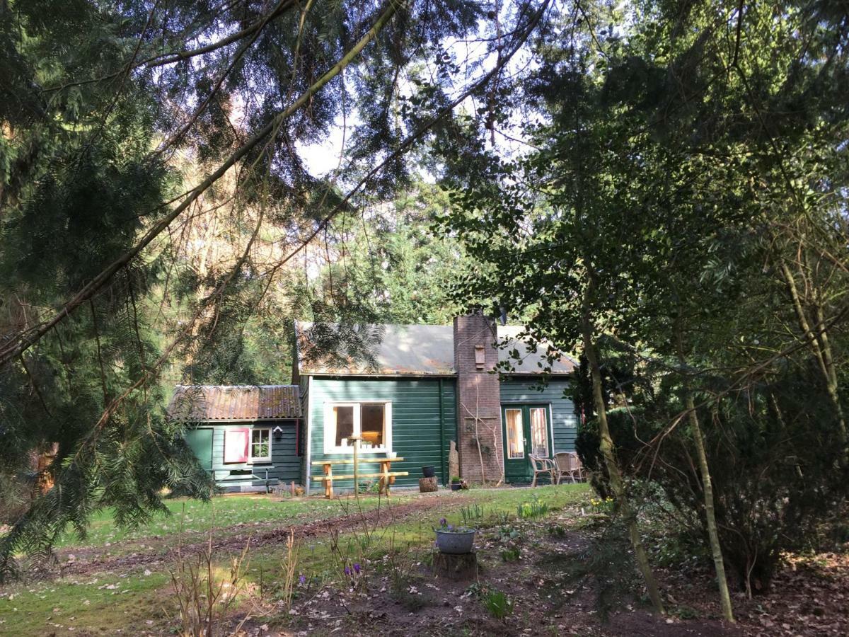 Landgoed De Heezeberg Villa Diever Exterior foto