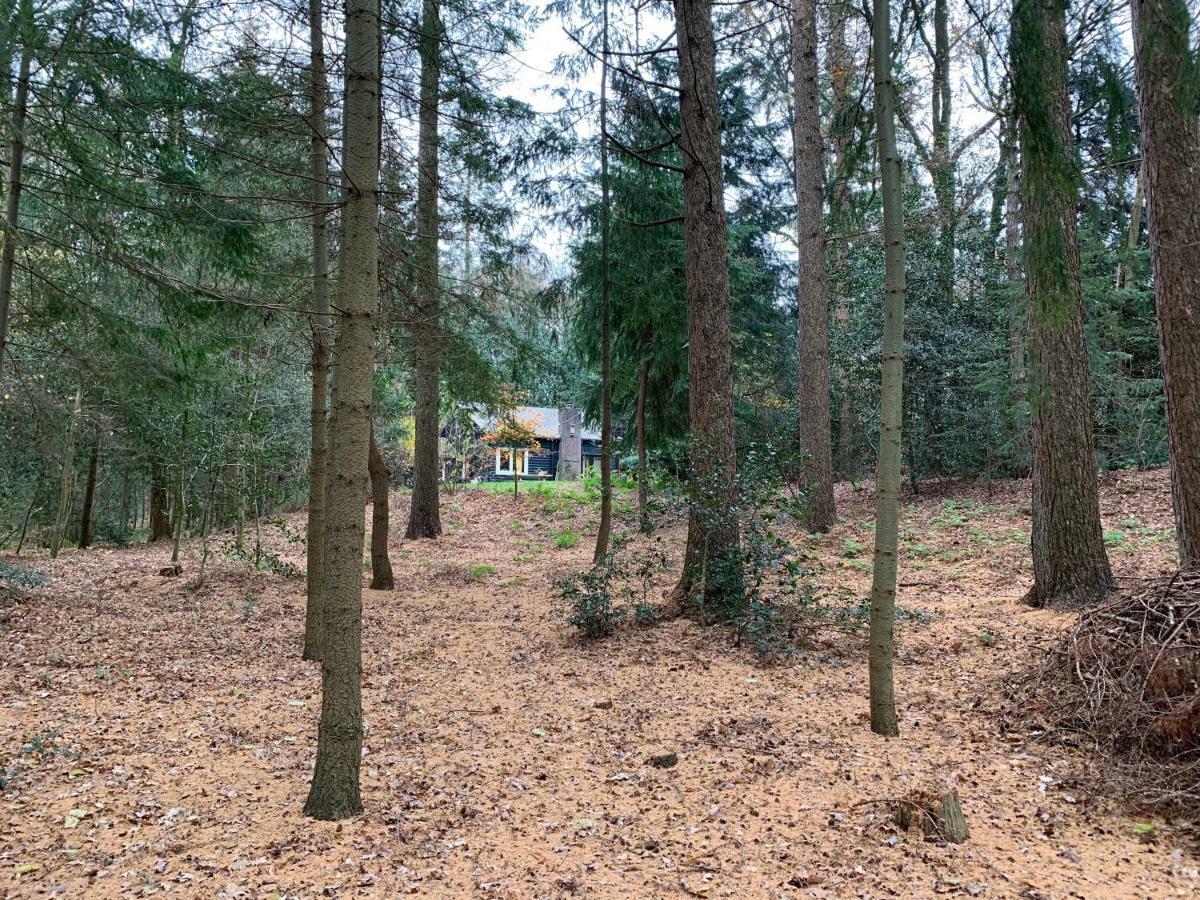 Landgoed De Heezeberg Villa Diever Exterior foto